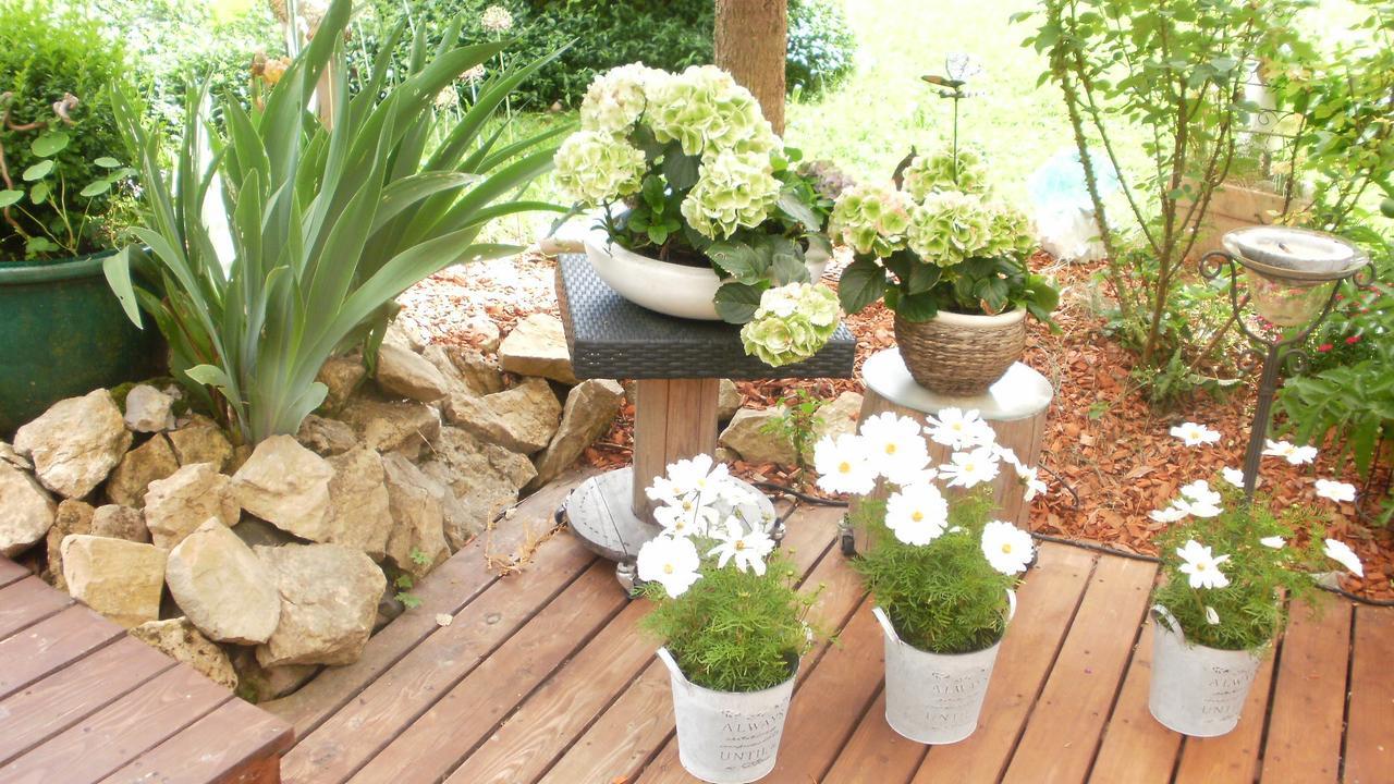 Gaestezimmer Im Haus Am Wald 프로이덴슈타트 외부 사진